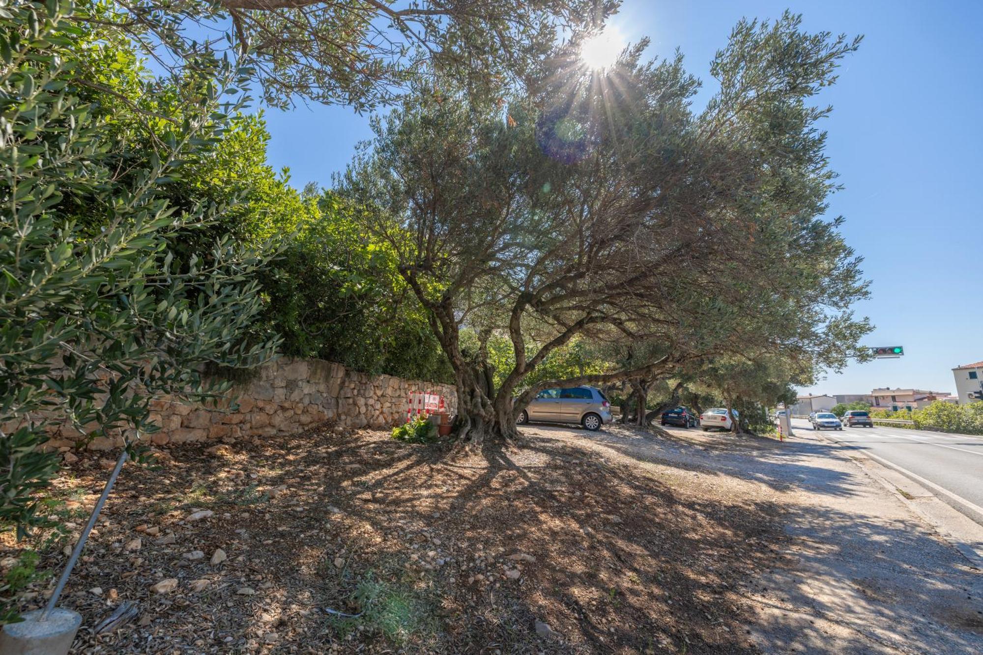 Apartmani Marta Tučepi المظهر الخارجي الصورة