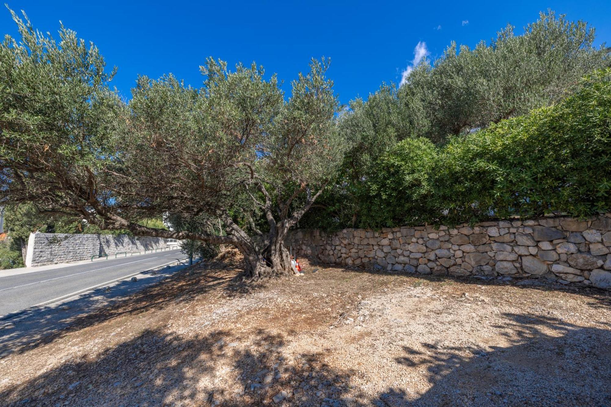 Apartmani Marta Tučepi المظهر الخارجي الصورة