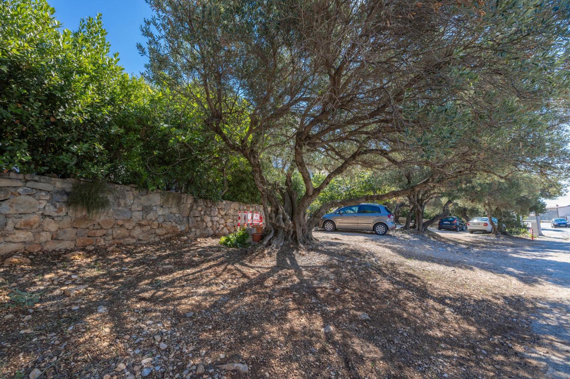 Apartmani Marta Tučepi المظهر الخارجي الصورة